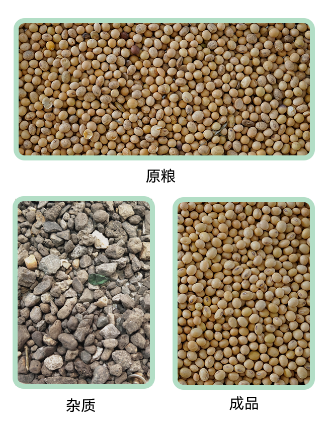 1769416845854108.jpg QSC-7小程序.jpg